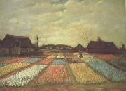 Vincent Van Gogh Bulb Fields (nn04) Spain oil painting reproduction
